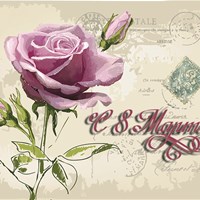 Портфолио Виктория